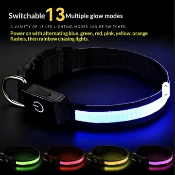 USB-C rechargeable LED dog collar from Nordbix